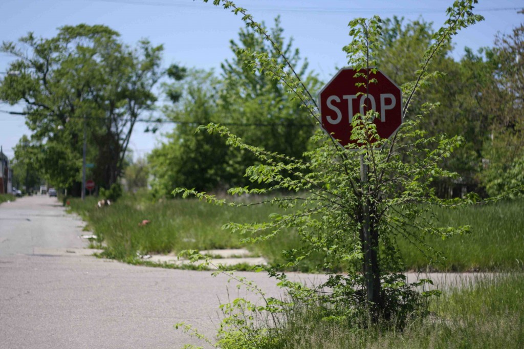 Un quartier presque intégralement vidé de ses habitants et de ses habitations dans l’East Side de Detroit (Paddeu, 2012).