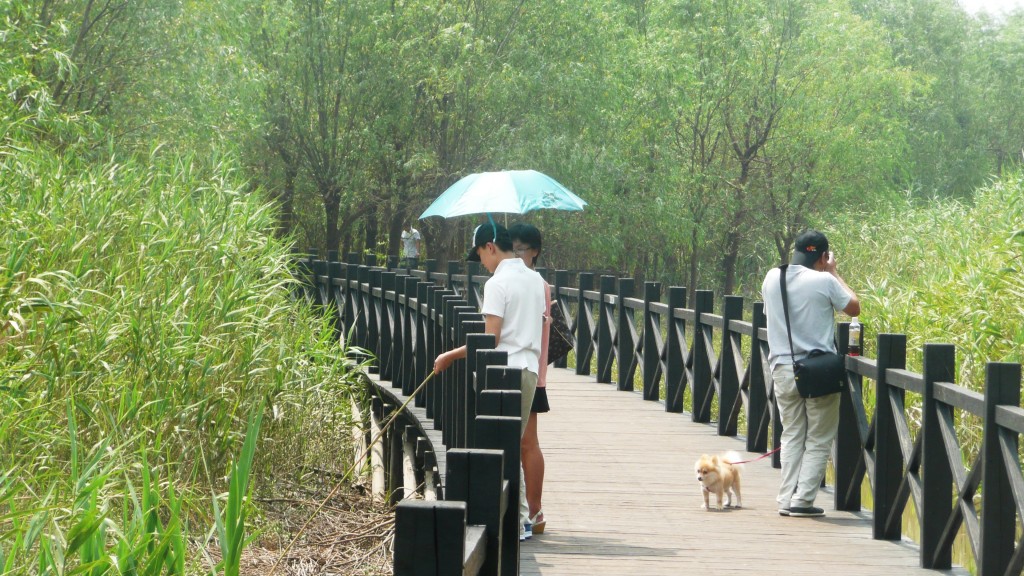 Une famille shanghaienne avec le chien de compagnie visitant le site de Xixhashidi dans l'ouest de l'île de Chongming (E. Véron, 2012).