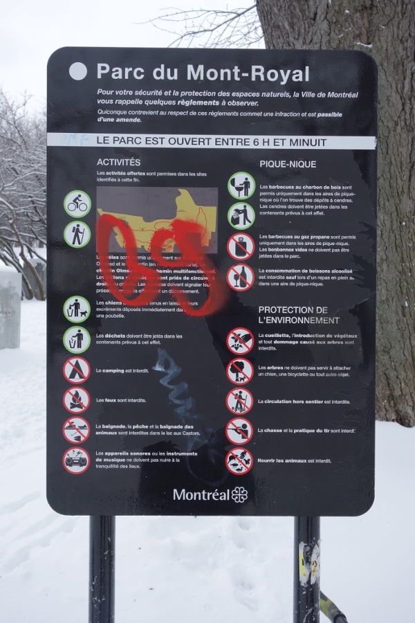 3. Sanction des usages et détournement des supports sur le parc du Mont-Royal (Bussière, 2014)