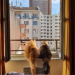 Lu / Envers et contre tours. M.R. Alves, M. Appert et C. Montès, <i>Producing and living the high-rise</i> dall’aglio_couv