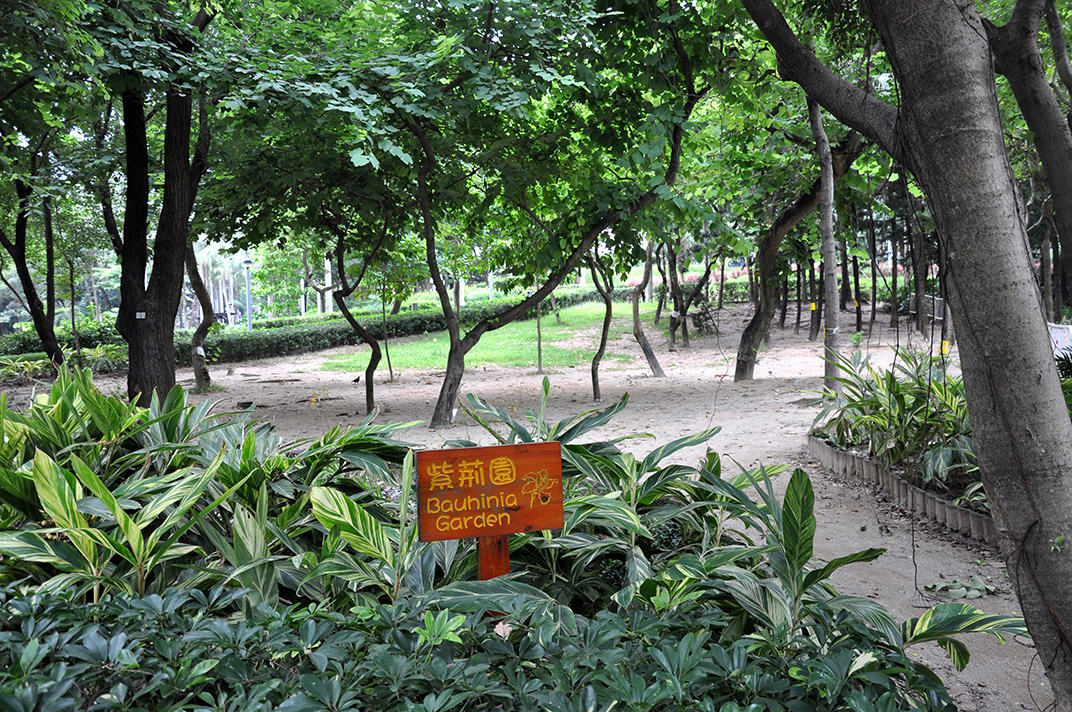 Le Bauhina Garden du Victoria Park un jour de semaine. L’espace reste vide.