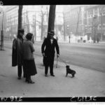 Lu / <i>Dogopolis</i> : comment les relations entre les Hommes et les chiens ont fabriqué les métropoles modernes de New York, Londres et Paris